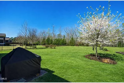 232 Logbridge Road, Chapel Hill, NC 27516 - Photo 86