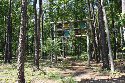 232 Logbridge Road, Chapel Hill, NC 27516 - Photo 78