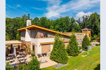 232 Logbridge Road, Chapel Hill, NC 27516 - Photo 66