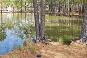 313 New Milford Rd, Cary, NC 27519 - Photo 46