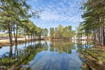 313 New Milford Road, Cary, NC 27519 - Photo 48