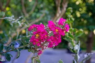 117 Scott Ln, Chapel Hill, NC 27514 - Photo 4