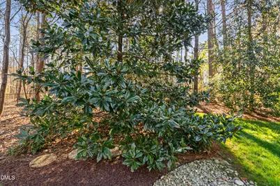 7601 Southwick Court, Wake Forest, NC 27587 - Photo 76