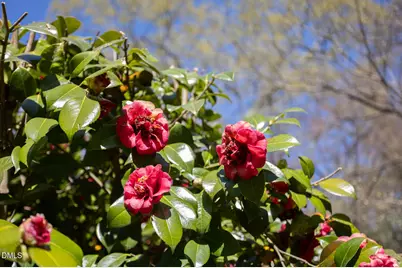 1014 W Forest Hills Boulevard, Durham, NC 27707 - Photo 72