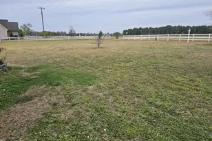 40 Wild Winds Dr, Coats, NC 27521 - Photo 4