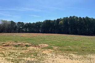 181 Big Pine Rd, Clayton, NC 27520 - Photo 14