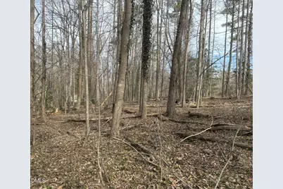 0 Wimbledon Drive, Roxboro, NC 27573 - Photo 2