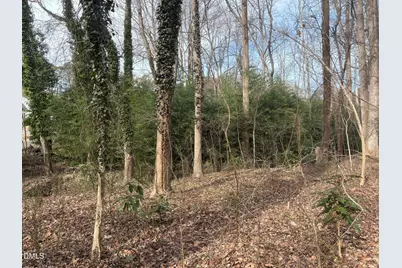 0 Wimbledon Drive, Roxboro, NC 27573 - Photo 4