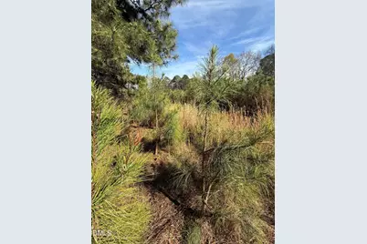 0 Chic Ennis Road, Coats, NC 27521 - Photo 10