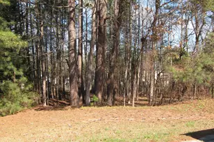 102 Checker Ct, Apex, NC 27502 - Photo 2