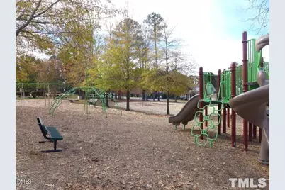 20007 Roark Hoey Loop, Chapel Hill, NC 27517 - Photo 6