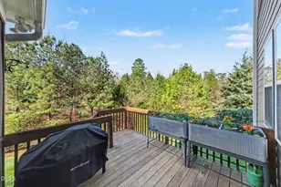 113 W Hatterleigh Ave, Hillsborough, NC 27278 - Photo 38