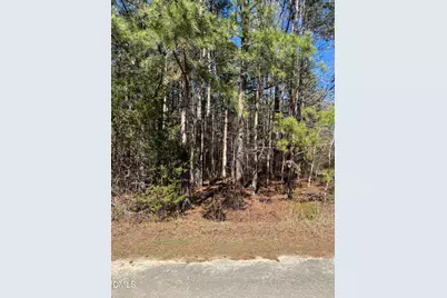 299 Hodges Road, Franklinton, NC 27525 - Photo 2