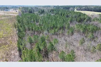 299 Hodges Road, Franklinton, NC 27525 - Photo 8