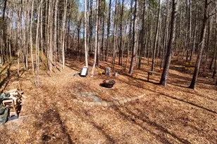 2800 Shepard School Rd, Zebulon, NC 27597 - Photo 38