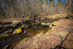 2800 Shepard School Rd, Zebulon, NC 27597 - Photo 40