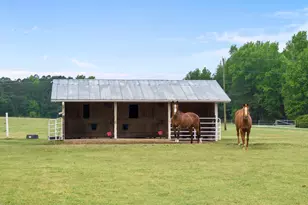 8042 N Nc Hwy 58, Castalia, NC 27816 - Photo 30