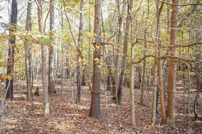 2566 Mays Crossroads Road, Youngsville, NC 27596 - Photo 16