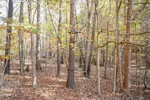 2566 Mays Crossroads Rd, Youngsville, NC 27596 - Photo 16