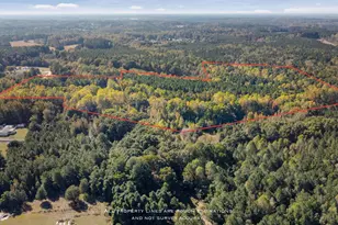 2566 Mays Crossroads Rd, Youngsville, NC 27596 - Photo 10