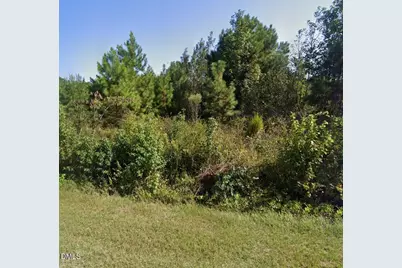 0 E Darden Road, Faison, NC 28341 - Photo 2