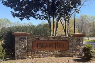 204 Blair Hills Rd, Wendell, NC 27591 - Photo 2