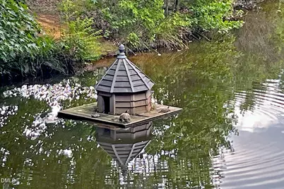 850 N Langdon, Pittsboro, NC 27312 - Photo 48