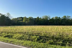 0 Lancaster Store Rd, Spring Hope, NC 27882 - Photo 1