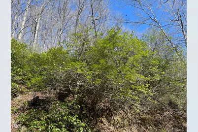 0 Bear Cove Circle, Bryson City, NC 28713 - Photo 8