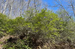 0 Bear Cove Cir, Bryson City, NC 28713 - Photo 8