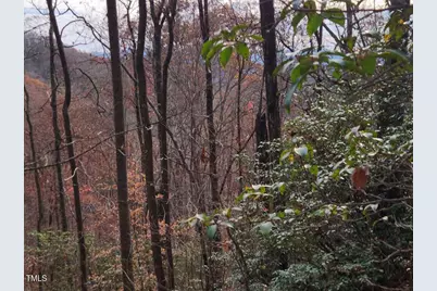 0 Bear Cove Circle, Bryson City, NC 28713 - Photo 1