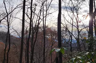 0 Bear Cove Cir, Bryson City, NC 28713 - Photo 2