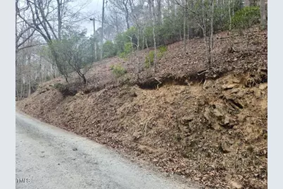 0 Bear Cove Circle, Bryson City, NC 28713 - Photo 4