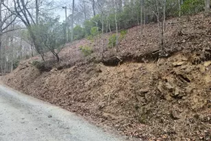 0 Bear Cove Cir, Bryson City, NC 28713 - Photo 4