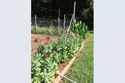 546 Oak Hill Road, Pittsboro, NC 27312 - Photo 8