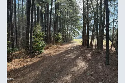 Lots 4 & 5 Simon Collie Road, Louisburg, NC 27549 - Photo 1