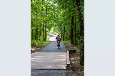 1105 Palisade Bluff Lane, Apex, NC 27502 - Photo 34