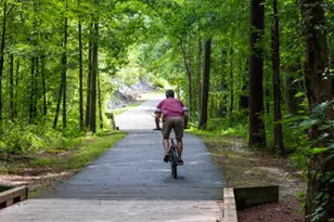 1105 Palisade Bluff Ln, Apex, NC 27502 - Photo 34