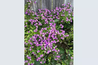 5421 Maggie Run Lane, Fuquay Varina, NC 27526 - Photo 58