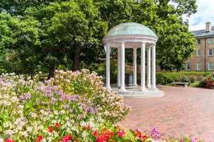 503 Pine Bluff Trail, Chapel Hill, NC 27516 - Photo 34