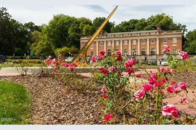 503 Pine Bluff Trail, Chapel Hill, NC 27516 - Photo 36