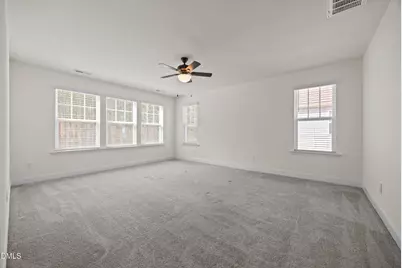 143 Steel Springs Lane, Angier, NC 27501 - Photo 30