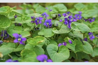 7004 Ferrell Woods Lane, Raleigh, NC 27603 - Photo 48