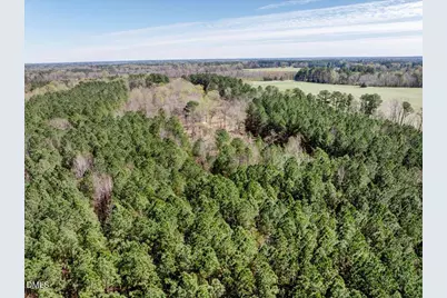 50 Nipper Lane, Louisburg, NC 27549 - Photo 10