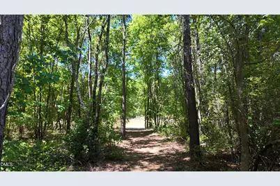 115 Liam Drive, Broadway, NC 27505 - Photo 34
