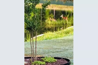 1436 Rose Gum Way, Fuquay-Varina, NC 27526 - Photo 42