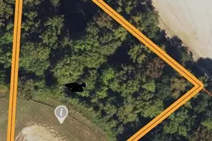 210 Mitchell Manor Dr, Angier, NC 27501 - Photo 58