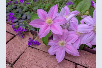 35 Stonewall Way, Durham, NC 27704 - Photo 34