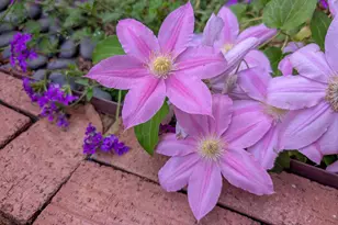 35 Stonewall Way, Durham, NC 27704 - Photo 34