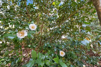 2022 Englewood Drive, Apex, NC 27539 - Photo 54